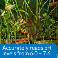 Thumbnail for API PH TEST KIT 250-Test Freshwater Aquarium Water pH Test Kit, 4 Piece Set