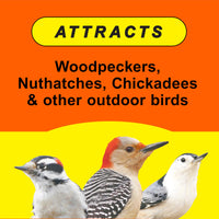 Thumbnail for Wild Delight Woodpecker, Nuthatch N' Chickadee Food, 5 lb (364050)