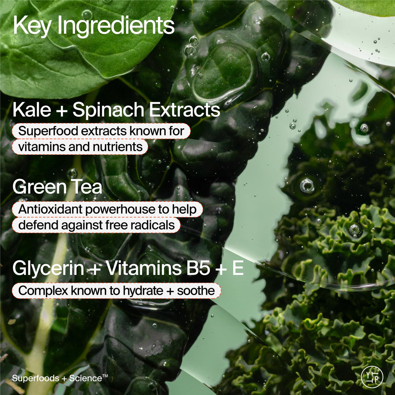 Youth To The People Superfood Facial Cleanser Full Size - Kale + Green Tea Daily Face Wash, Gentle Makeup Remover, with Soothing Antioxidants for Glowing Skin, pH Balance, Clean Pores – 8 fl oz