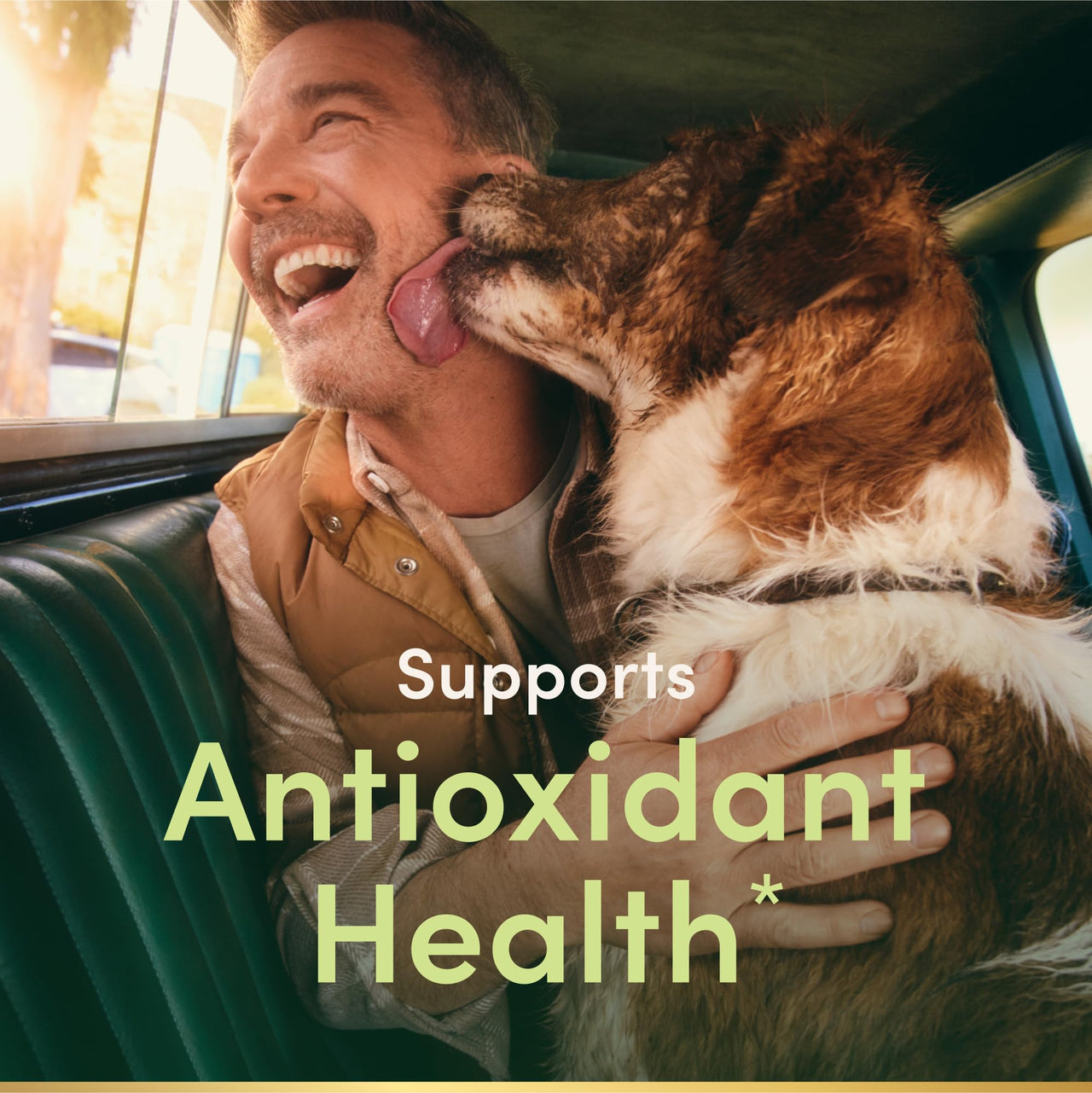 Nature's Bounty Vitamin E 1000 IU Softgels, Supports Antioxidant Health & Immune System, 1 Serving per Day, No Gluten, 60 Softgels (Pack of 1)