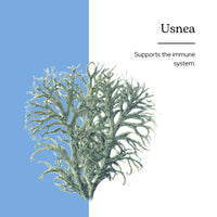 Thumbnail for Eclectic Institute Usnea O 2 Ounce