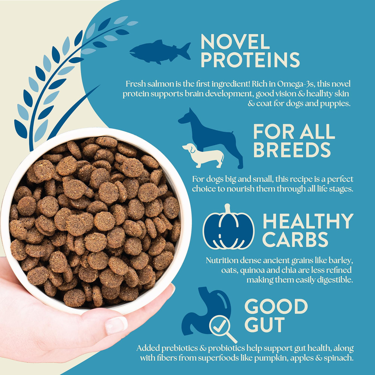 Earthborn Holistics Unrefined Smoked Salmon with Ancient Grains & Superfoods Dry Dog Food, 4-lb Bag