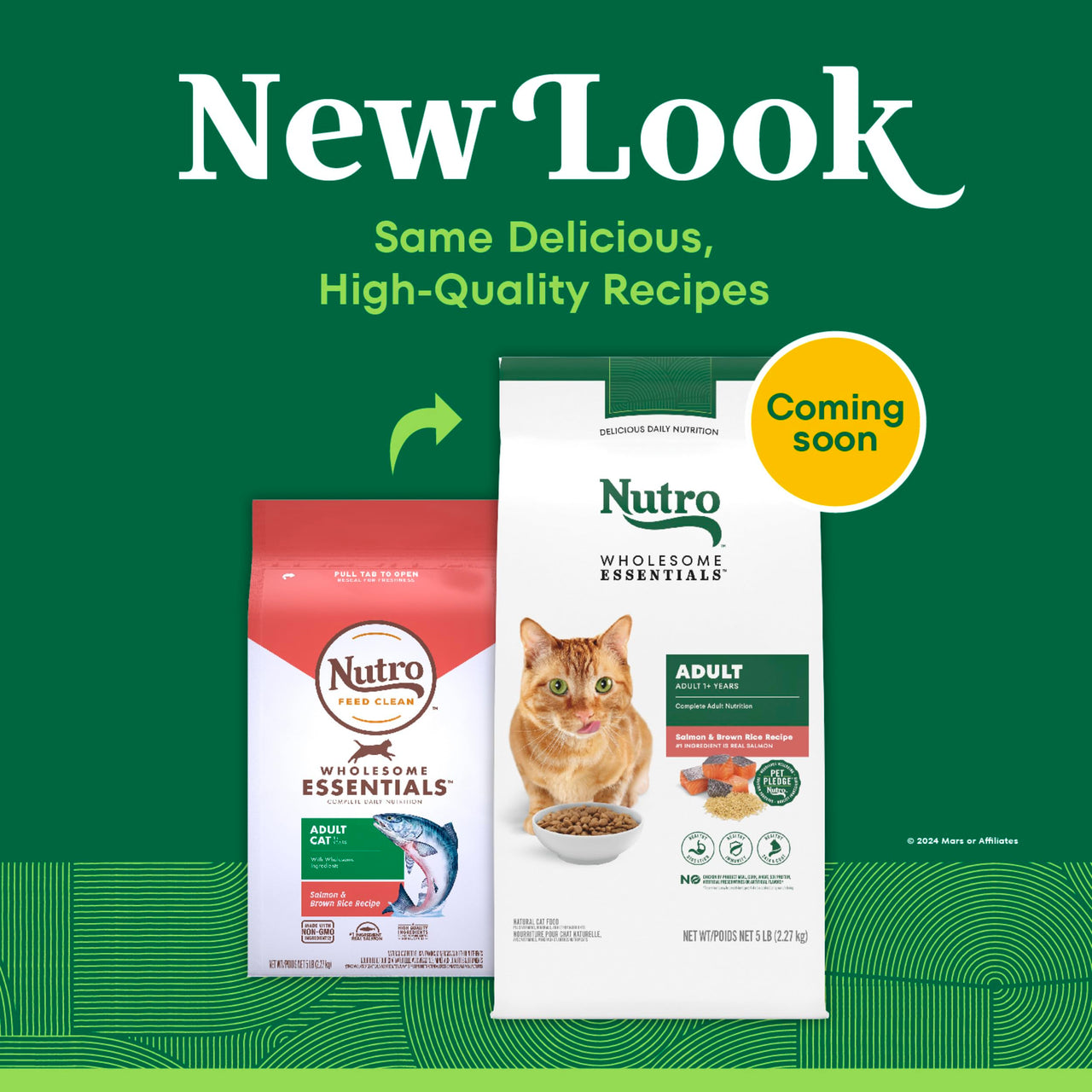 Nutro Wholesome Essentials Dry Cat Food, Adult Cat Food Dry Salmon & Brown Rice Recipe, 5 lb. Bag