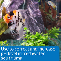 Thumbnail for API pH UP Freshwater Aquarium Water pH Raising Solution 16-Ounce Bottle