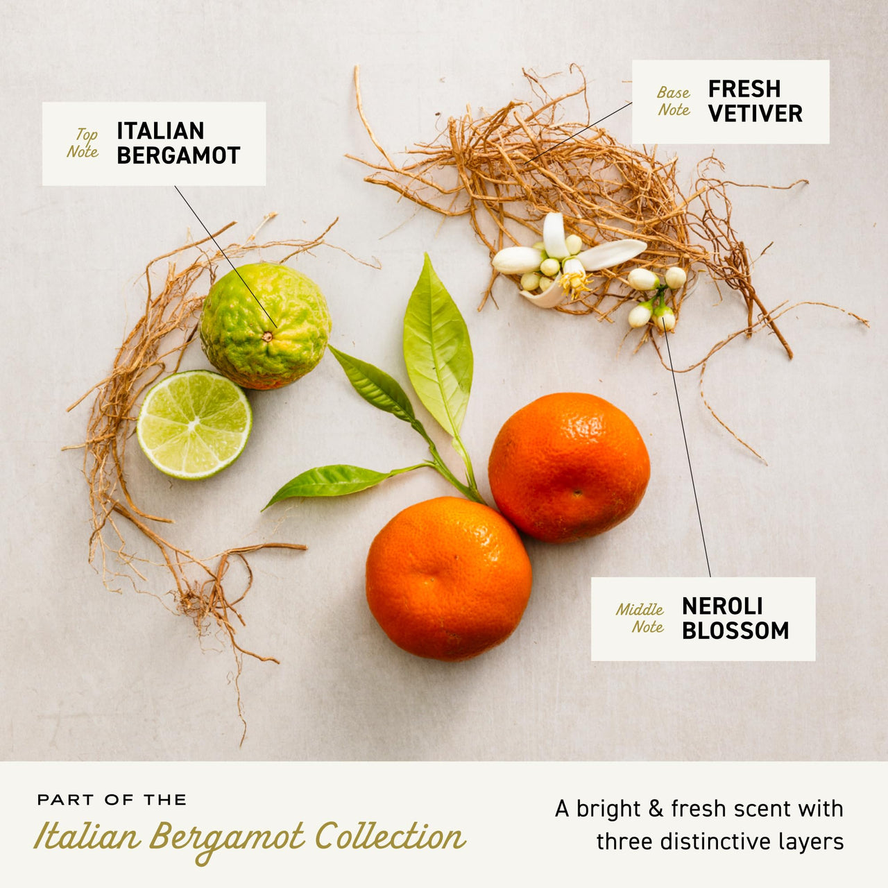 Cremo Rich-Lathering Italian Bergamot Body Wash for Men, 32 Fl Oz