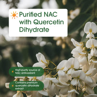 Thumbnail for NatureBell NAC 1,200mg with Quercetin - 240 Capsules - N-Acetyl Cysteine - Antioxidant Supplement for Cellular Health - Supports Liver, Lung & Immune Function*