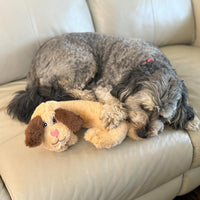Thumbnail for SPOT Soothers- Warm Hug Pal - Calming Plush Dog Toy with Lavender Scented Beads, Removable Squeaker, Microwavable Warming Pouch, Separation Anxiety Relief, for Medium to Large Dogs and Puppies, 10in