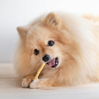 Thumbnail for Fieldcrest Farms Nothin' to Hide Twist Stix, Peanut Butter Flavor, Easily Digestible, Supports Skin, Coat, Joints & Muscles, for Moderate Chewers Under 15lbs, 10 Pieces