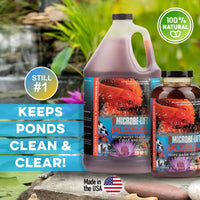 Thumbnail for MICROBE-LIFT PL Pond and Outdoor Water Garden Cleaner, Safe for Live Koi Fish, Plant Life, and Decor, 1 Gallon
