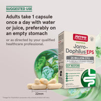 Thumbnail for Jarrow Formulas Mastic Gum 1000 mg - 60 Veggie Caps - Mastic Gum Capsules Supporting Stomach and Duodenal Health - 30 Servings