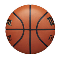 Thumbnail for Wilson Evolution Game Basketball, Black, Official Size - 29.5