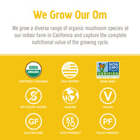 Thumbnail for Mushroom Matrix Lion's Mane 3.57 Ounce (100 Grams) Pwdr