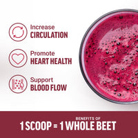 Thumbnail for Force Factor Total Beets Organic Beetroot Powder Superfood to Boost Daily Nutrition, USDA Organic, Vegan, Gluten-Free, and Non-GMO Beet Supplement, Unflavored, 90 Servings