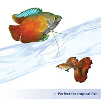 Thumbnail for Aqueon Nutrinsect Fish-Free Fish Food, Tropical Flakes, 1.59 oz