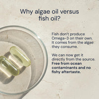Thumbnail for Blueprint Bryan Johnson Omega-3 - Vegan Algae Omega 3 Supplement with EPA/DHA - 800mg Plant-Based for Brain, Heart & Joint Support - High Absorption Triglyceride Form - 1:1 EPA/DHA