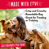 Thumbnail for Charlee Bear Chicken Soup & Garden Veggie Dog Treats 16 oz. bag