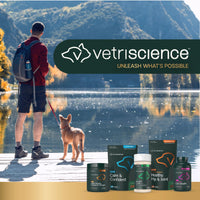 Thumbnail for VETRISCIENCE Extra Large Pinchers Pill Hiders Chews, Non-Greasy Pill Wrap with Probiotics for Dogs, Disguise Pills, Capsules and Tablets, Soft and Chewy, Gut and Immune Health, Peanut Butter, 2 Pack