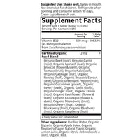 Thumbnail for Garden of Life Organics B12 Vitamin - Whole Food B-12 for Metabolism and Energy, Raspberry, 2oz Liquid