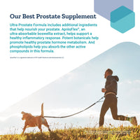 Thumbnail for Life Extension Ultra Prostate Formula - Men’s Prostate Health Supplement with Beta Sitosterol, Saw Palmetto, Lycopene, Pumpkin Seed - 60 Softgels