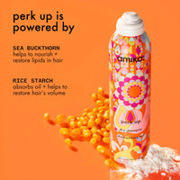Thumbnail for amika perk up talc-free dry shampoo, 1.8oz