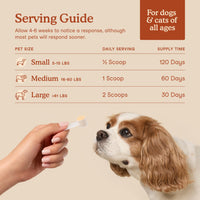 Thumbnail for Fera Pets Probiotics for Dogs & Cats with Prebiotics - USDA Organic - Gut Health Powder Supplement with 12 Strains and 5 Billion CFUs - Supports Immunity, Energy and Skin & Coat - 60 Scoops