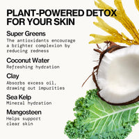 Thumbnail for Pacifica Kale Detox Face Wash for Oily & Acne-Prone Skin, Deep Cleansing Facial Cleanser & Makeup Remover with Super Greens Kale, Seaweed & Clay, 5 fl oz –Clean Beauty, Vegan & Cruelty-Free