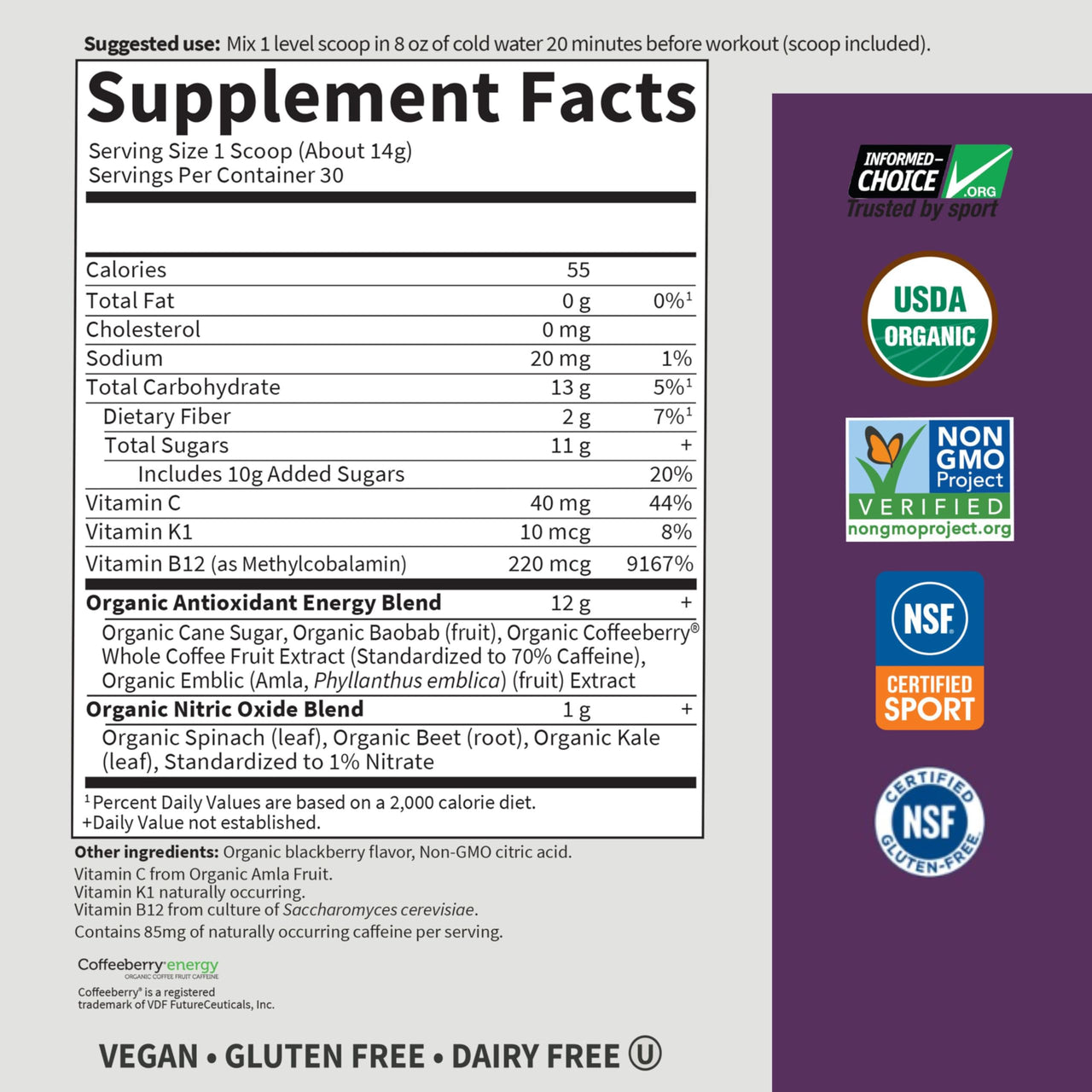 Garden of Life Sport Organic Plant Based Energy + Focus Clean Pre Workout Powder, with 85mg Caffeine, Natural No Booster, B12, Vegan, Gluten Free, Non-GMO, BlackBerry, 15.3 Oz