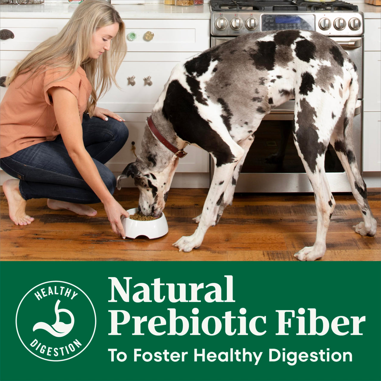 Nutro Natural Choice Dry Dog Food, Adult Dog Food Dry Chicken and Brown Rice Recipe, 5 lbs.