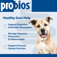 Thumbnail for Probios Digestive Support Chewables for Dogs, Daily Probiotic Supplement for Gut Health, Digestion & Immune Support, 1 lb