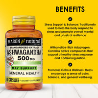 Thumbnail for Mason Natural Ashwagandha 500 mg, Adaptogen for Stress & Energy Support, Herbal Supplement, 60 Day Supply