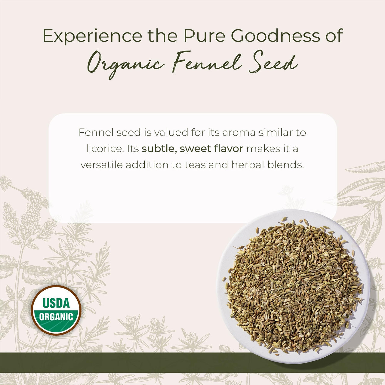 Starwest Botanicals Organic Fennel Seed - Dried Spice for Seasoning, Baking, Cooking, & Tea, Natural Digestion Support, Certified Kosher, Non-GMO - Bulk 1 lb Bag