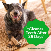 Thumbnail for Greenies Veterinarian-Recommended Adult Natural Dental Dog Treats Large Size, Weight Management Dog Dental Chews, 27 oz. Pack, 17 Count