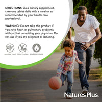 Thumbnail for NaturesPlus Huperzine Rx-Brain - 30 Tablets - Brain Support Supplement - Promotes Memory, Learning & Optimal Cognitive Function - Gluten Free - 30 Servings