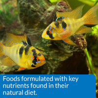 Thumbnail for API CICHLID PELLETS Floating Pellets Fish Food 4.2-Ounce Container