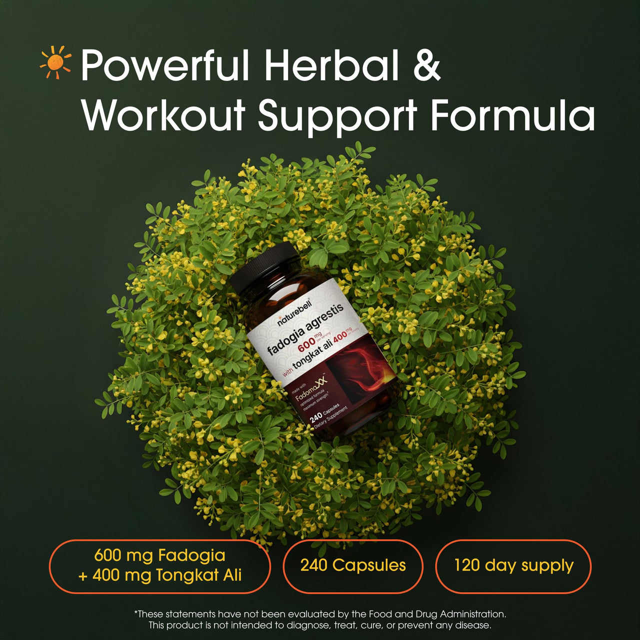 NatureBell Fadogia Agrestis - 240 Capsules - 600mg Fadogia Agrestis with 400mg Tongkat Ali - High Strength Extracts for Vitality & Workout Performance Support*