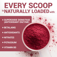 Thumbnail for Dr. Berg Raw Organic Beet Powder from Real Earth-Grown Beets – USDA Certified Organic Beet Root Powder to Support Nitric Oxide Levels, Energy, Blood Flow, & Heart Health* – 30 Servings