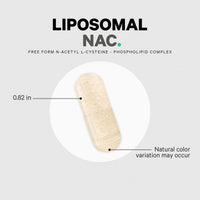 Thumbnail for Codeage Liposomal NAC Supplement - N-Acetyl L-Cysteine Amino Acid - 2 Month Supply - Free-Form NAC - Phospholipid Complex - Vegan, Non-GMO, Gluten-Free, Dairy-Free - 120 Capsules