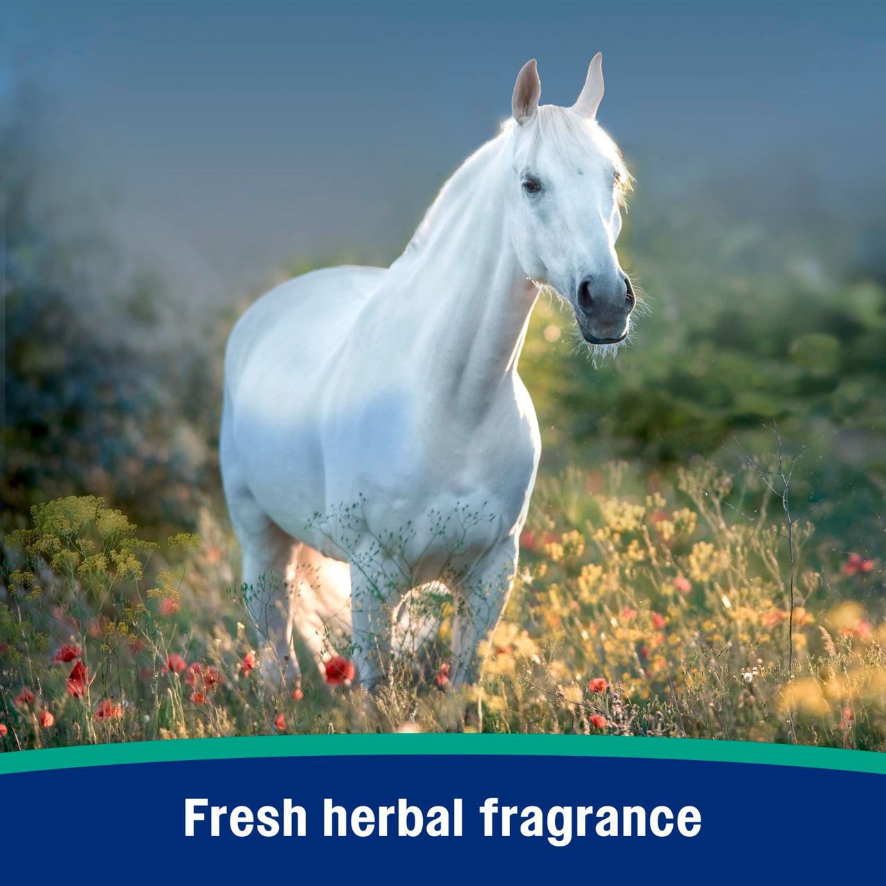 Farnam Nature’s Defense Concentrate, Water-Based Botanical Fly Repellent Spray for Horses, Ideal for Sensitive Skin, 32 oz