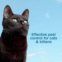 Thumbnail for ADAMS Plus Flea & Tick Foaming Shampoo & Wash for Cats & Kittens, Flea Shampoo to Treat Flea Infestations, Kills Ticks, Fleas, Flea Eggs & Lice, Cleans and Conditions Coat, 10 Ounces