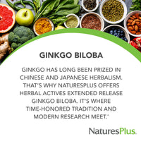 Thumbnail for NaturesPlus Herbal Actives Ginkgo Biloba, Extended Release - 60 Tablets - Vegetarian, Gluten Free - 60 Servings