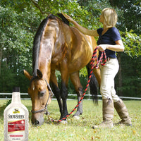 Thumbnail for Absorbine ShowSheen Hair Polish & Detangler 32oz Refill Bottle, Horse and Dog Coat, Mane and Tail, Instant Detangling & Reduces Hair Breakage for Healthy Grooming & Radiant Shine