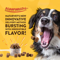 Thumbnail for NaturVet Scoopables Coprophagia for Dogs - No Poop Eating for Dogs - Stool Eating Deterrent Supplement with Probiotic & Digestive Enzymes - Hickory Smoked Bacon Flavored | 11oz Bag