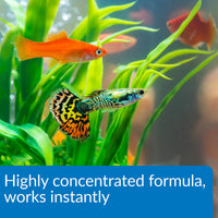 Thumbnail for API AQUA ESSENTIAL Water Conditioner 16 ounce bottle