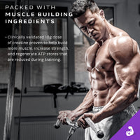 Thumbnail for MuscleTech Mass Gainer Protein Powder, Mass-Tech Extreme 2000, Muscle Builder Whey Protein Powder, Protein + Creatine + Carbs, Max-Protein Weight Gainer for Women & Men, Triple Chocolate, 20 lbs