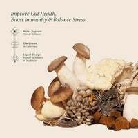 Thumbnail for OM MUSHROOM SUPERFOOD Master Blend Mushroom Gummies â€“ Organic 10-Mushroom Complex with Ashwagandha â€“ Supports Immunity, Gut Health & Stress Relief â€“ Mixed Berry Flavor â€“ 28 Servings, 56 Count.
