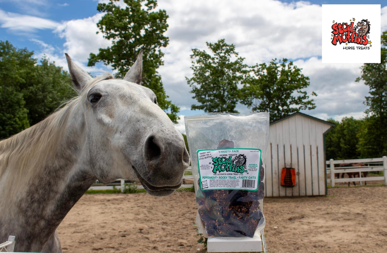 Stud Muffins 1045R Stud Muffins Horse Treats - Variety Pack, 45 Oz Bag