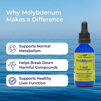 Thumbnail for Eidon Ionic Minerals Liquid Molybdenum Supplement - Liquid Ionic Minerals, Molybdenum Concentrate Drops for Women & Men, No Added Sugars, Supports Biological Processes, Mineral Supplements - 2 oz