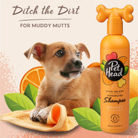 Thumbnail for Pet Head Ditch The Dirt Dog Shampoo | Orange Scent | Deodorizing Shampoo for Smelly Dogs | Deep Cleans and Removes Odors | Vegan | Gentle Formula for Puppies | Made in USA | 16 fl. oz.
