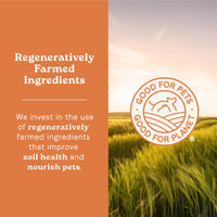 Thumbnail for Canidae All Life Stages Real Lamb & Ancient Grains Recipe – High Protein Premium Dry Dog Food for All Ages, Breeds, and Sizes– 27 lbs.