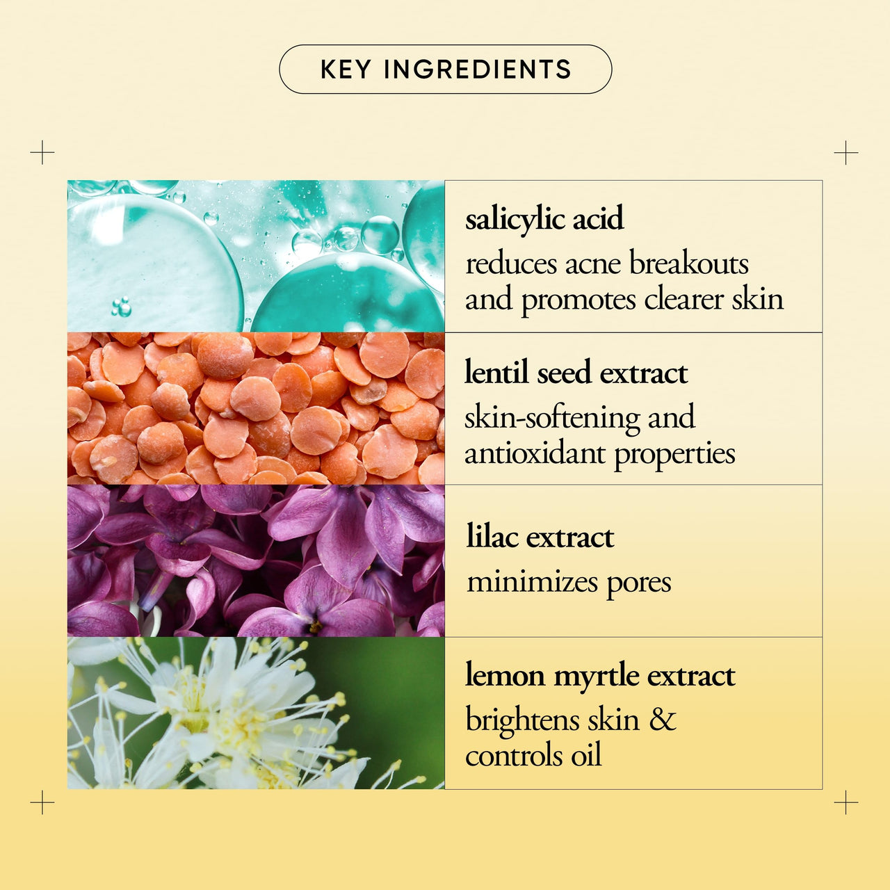 philosophy purity made simple pore minimizing facial serum- with salicylic acid, lentil seed extract & lilac extract decreases the appearance of pores instantly - vegan formula - 1 fl oz